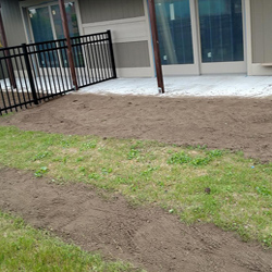 Tri City Auto Repair | Community Service (Charity and Honoring our Veterans) Image