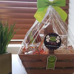 Tri City Auto Repair | Community Service