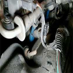 Tri City Auto Repair | Services Image